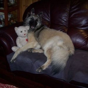 Meet your Posher, Annette